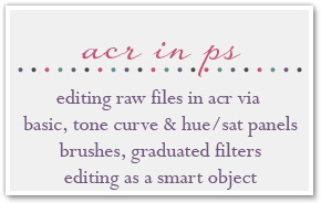 ACR workshop for beginners