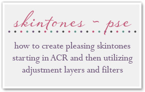 Skintones workshop for PSE