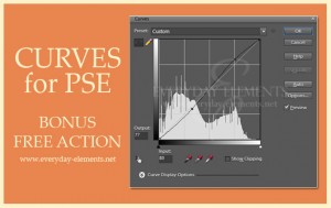 How to Use Curves in Photoshop Elements {and a free action and video tutorial}