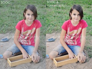Free Photoshop Elements Action Giveaway ~ Celebrating the EE Facebook Community