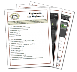 Lightroom Beginners Online Workshop {and a giveaway}