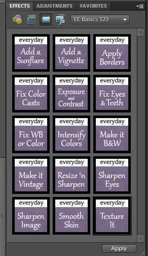 Everyday Basics Action Set for Beginners {for PSE and Photoshop}