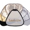Celebrating Two Years – Lastolite Reflector Giveaway
