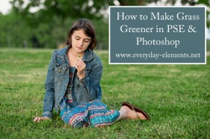 Making Grass Greener in Photoshop {Elements}