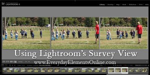 Using the Survey View in Lightroom 4