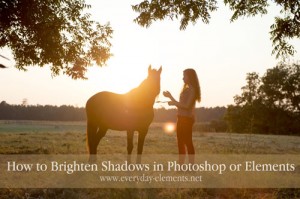 How to Brighten Shadows in Photoshop Elements