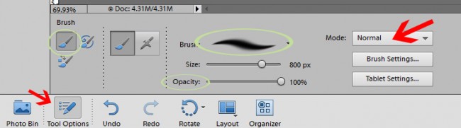 PSE 11 Brush Option Menu