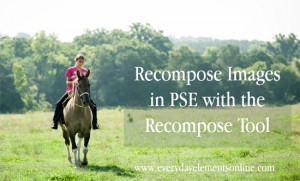 Recompose Images in Photoshop Elements with the Recompose Tool